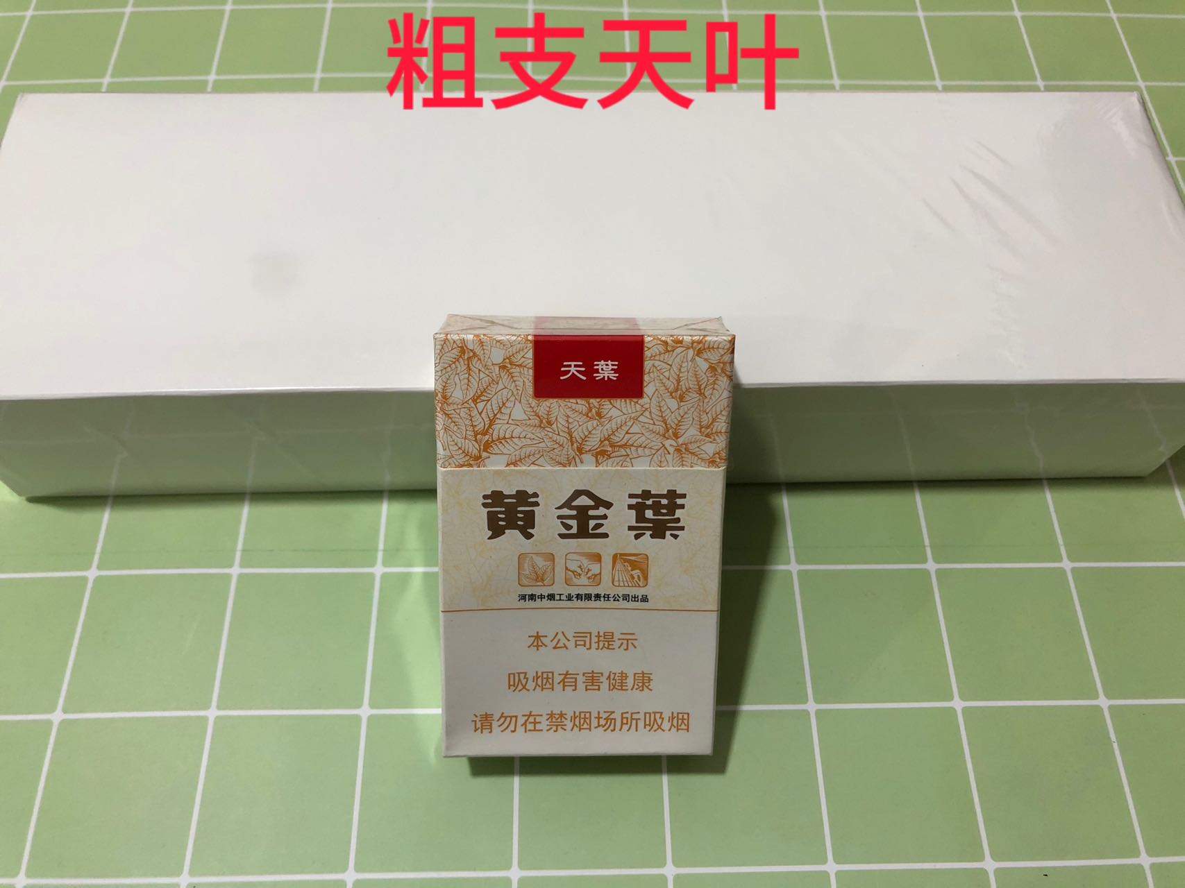 天叶（白皮粗支）