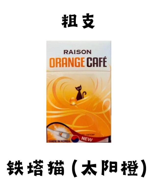 铁塔猫（太阳橙）